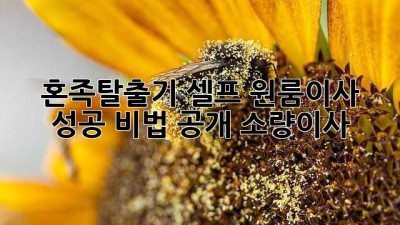 혼족탈출기🏠 셀프 원룸이사 성공 비법 大공개! #소량이사