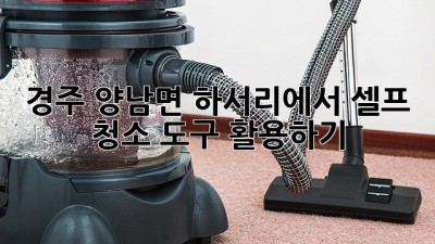 경주 양남면 하서리에서 셀프 청소 도구 활용하기! ✨