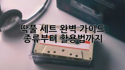 딱풀 세트 완벽 가이드: 종류부터 활용법까지!
